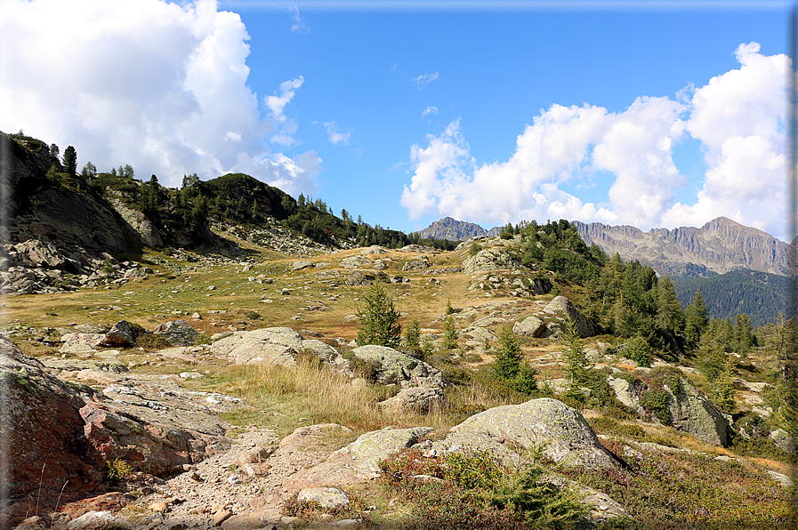 foto Da Passo 5 Croci alla Forcella Magna